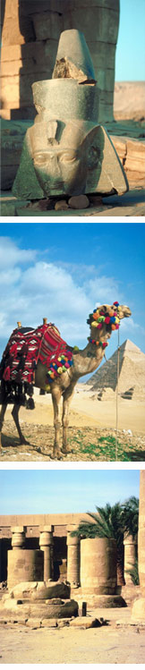 Description: http://www.mymedvacations.com/egypt.jpg